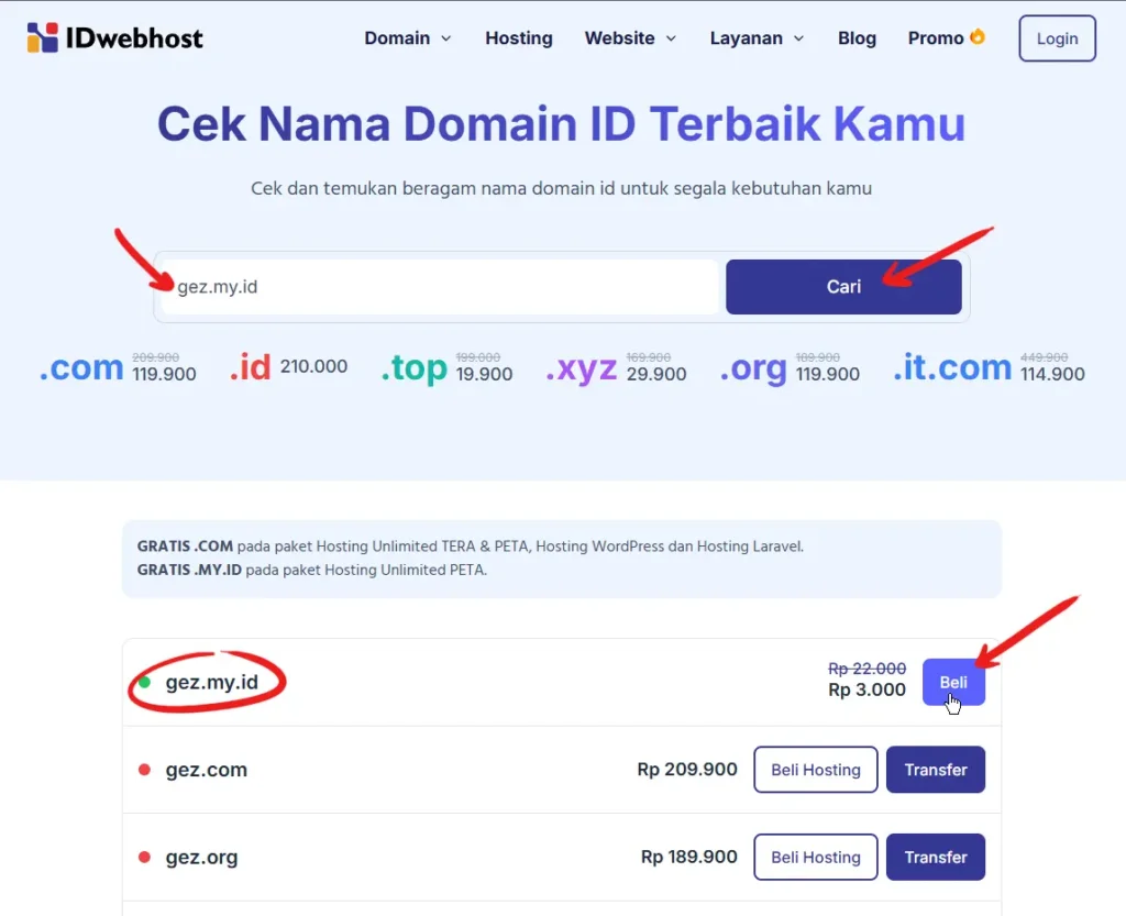cara beli domain untuk website